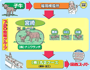 仕組み