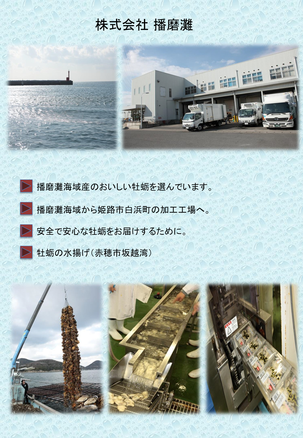 (株)播磨灘ページ1