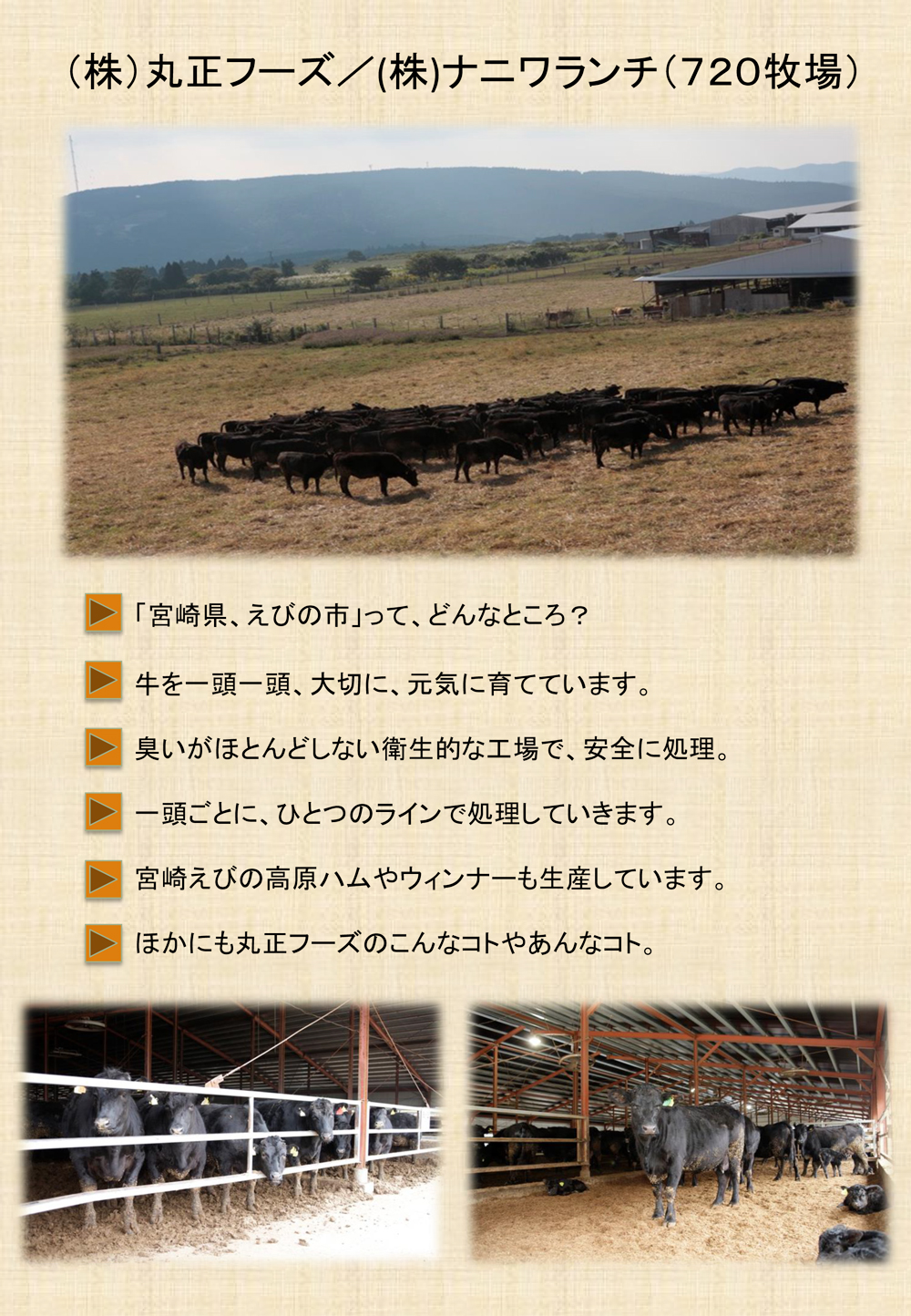 (株)丸正フーズページ1
