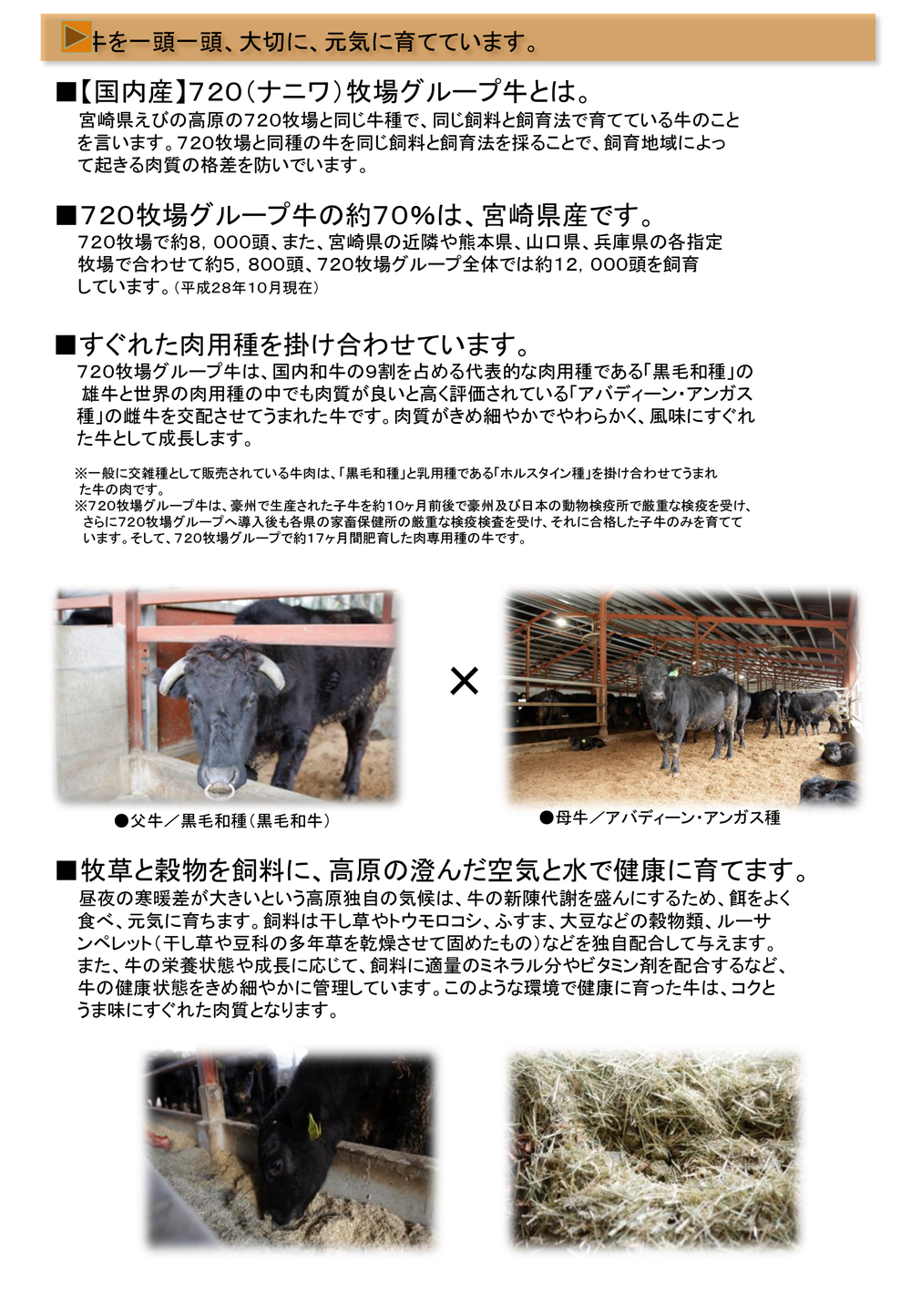 (株)丸正フーズページ3