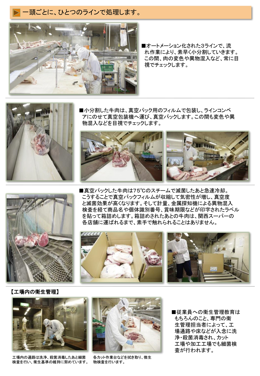 (株)丸正フーズページ6