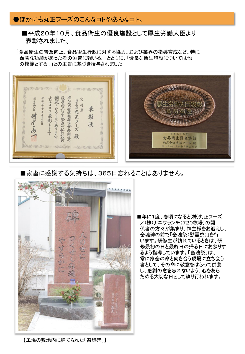 (株)丸正フーズページ10
