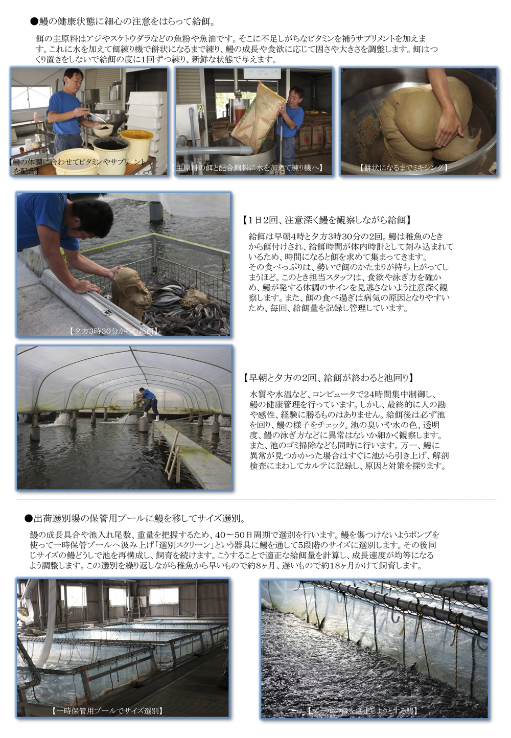 山田水産(株)ページ5
