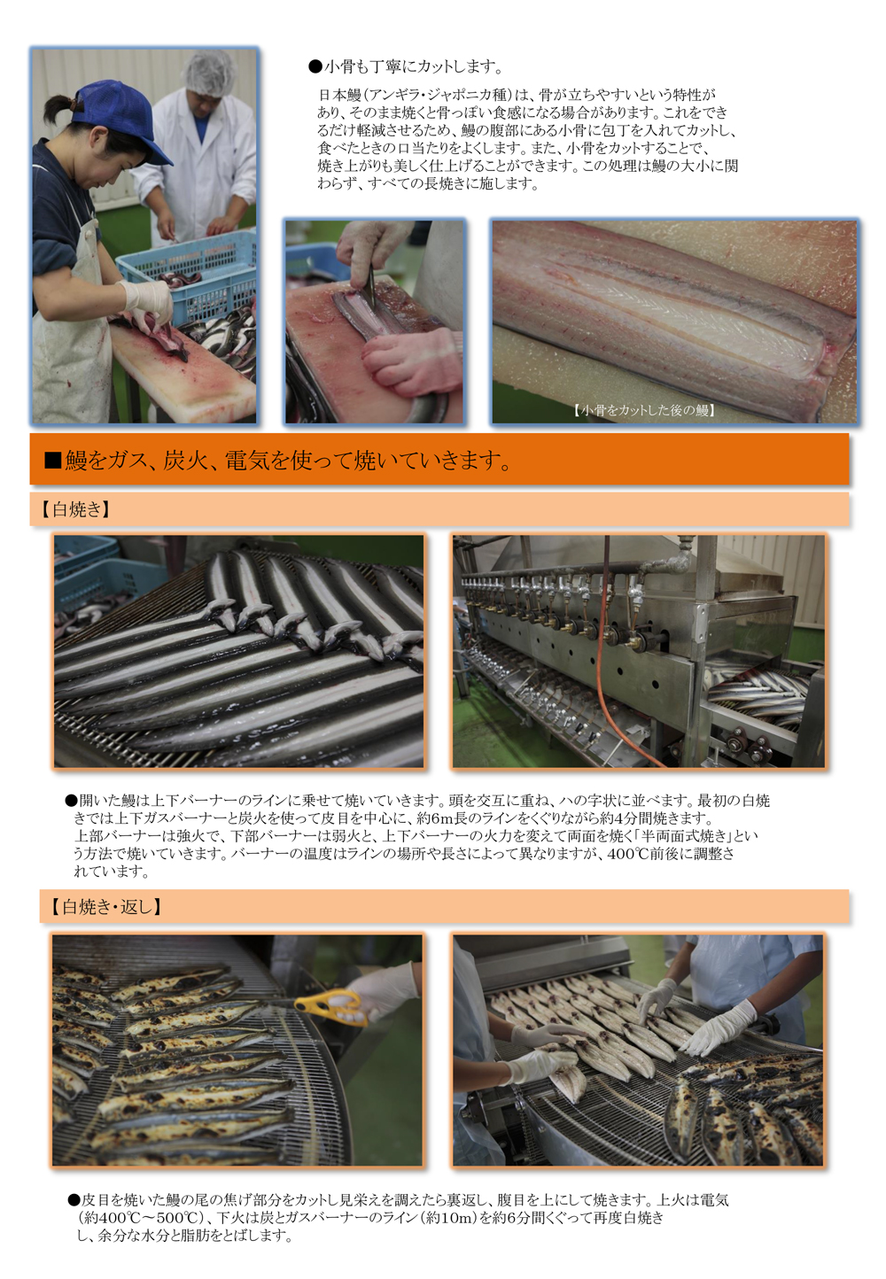 山田水産(株)ページ7