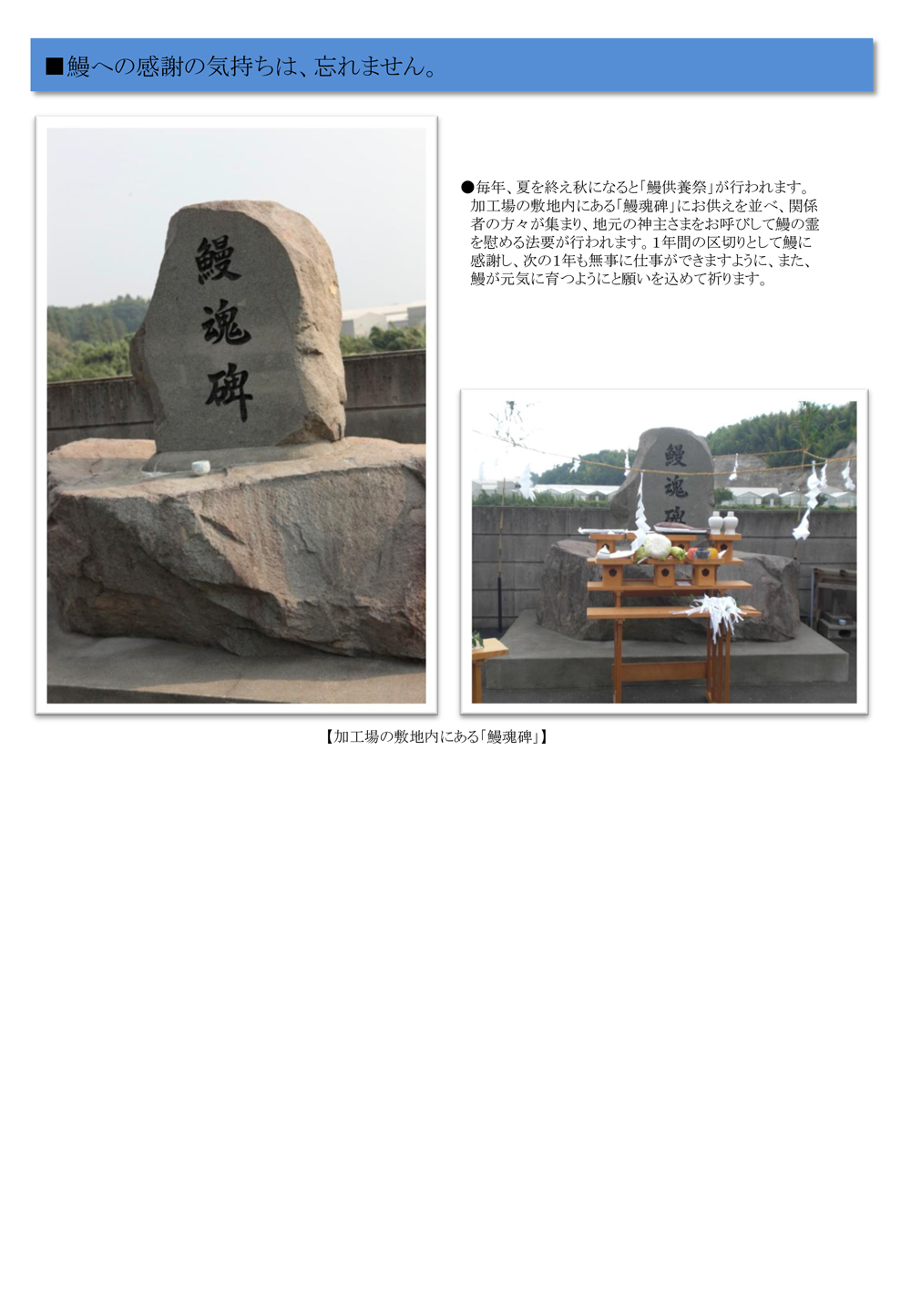 山田水産(株)ページ10