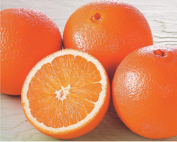 オレンジ（テイスティースター） 【2月頃～6月頃の販売】