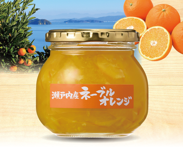 瀬戸内産ネーブルオレンジ